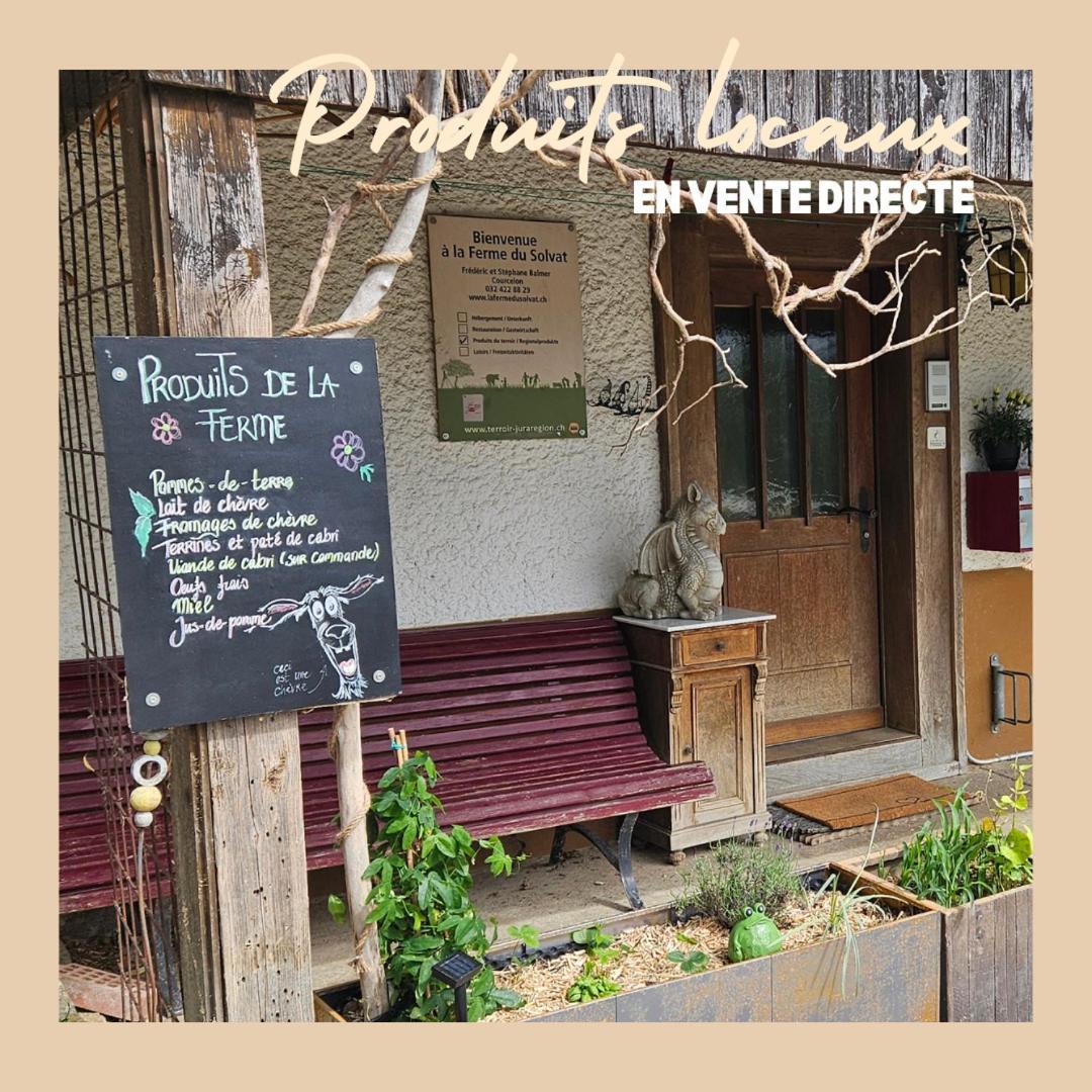 La Ferme Du Solvat Apartment Courcelon ภายนอก รูปภาพ