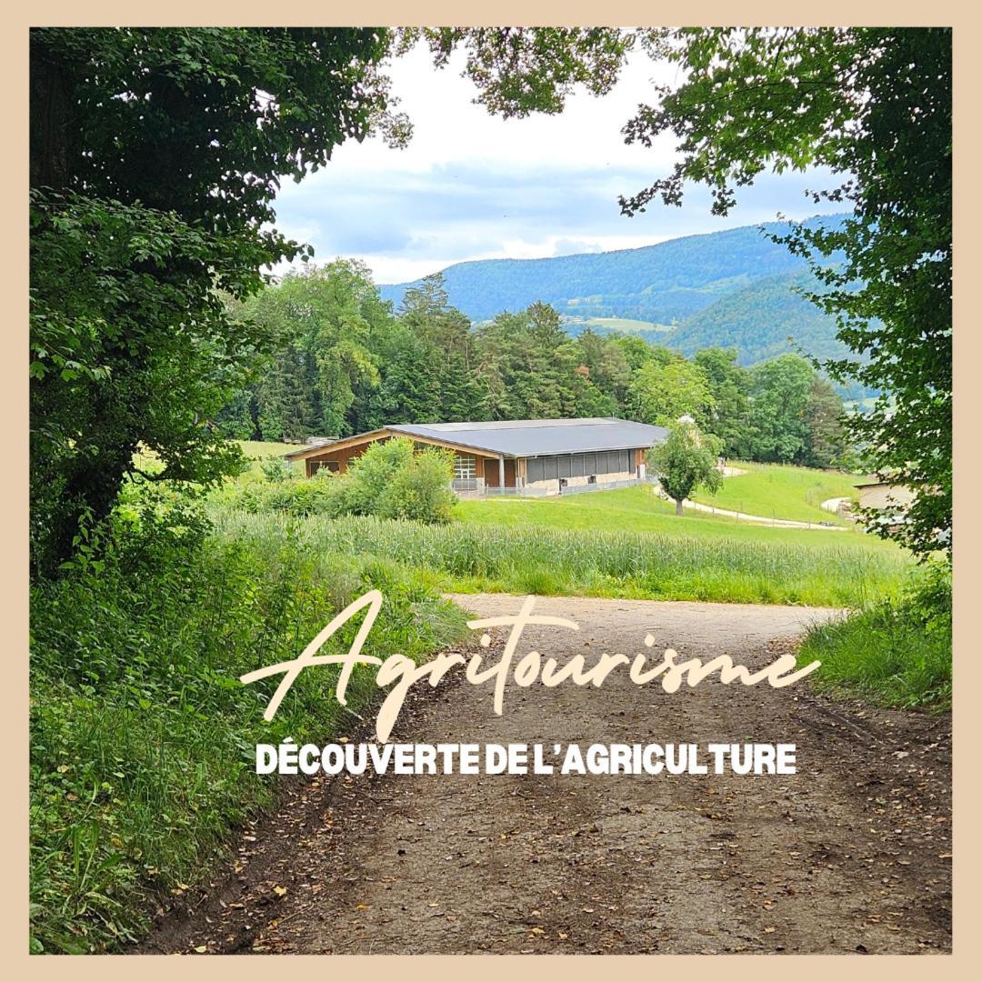 La Ferme Du Solvat Apartment Courcelon ภายนอก รูปภาพ